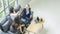 Top aerial view of smiling business woman colleague teamwork cheer up in officeÂ and sitting on sofa